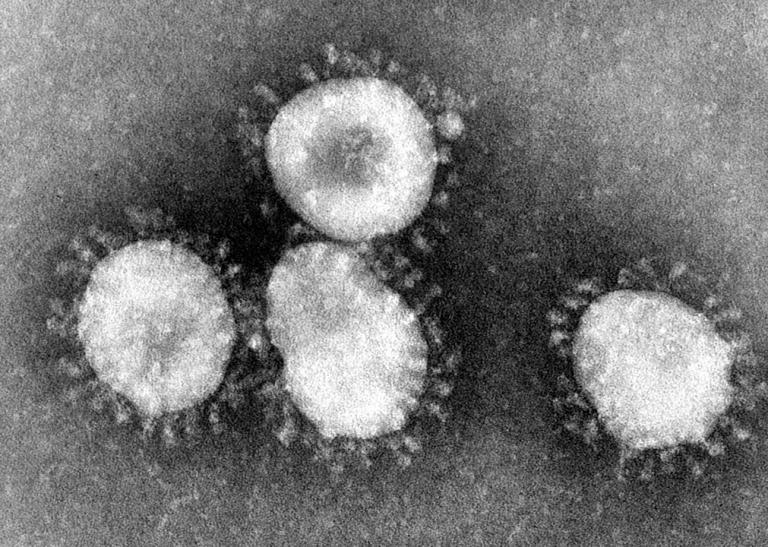 What You Need to Know about the Coronavirus