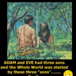 Adam and even had 3 son?